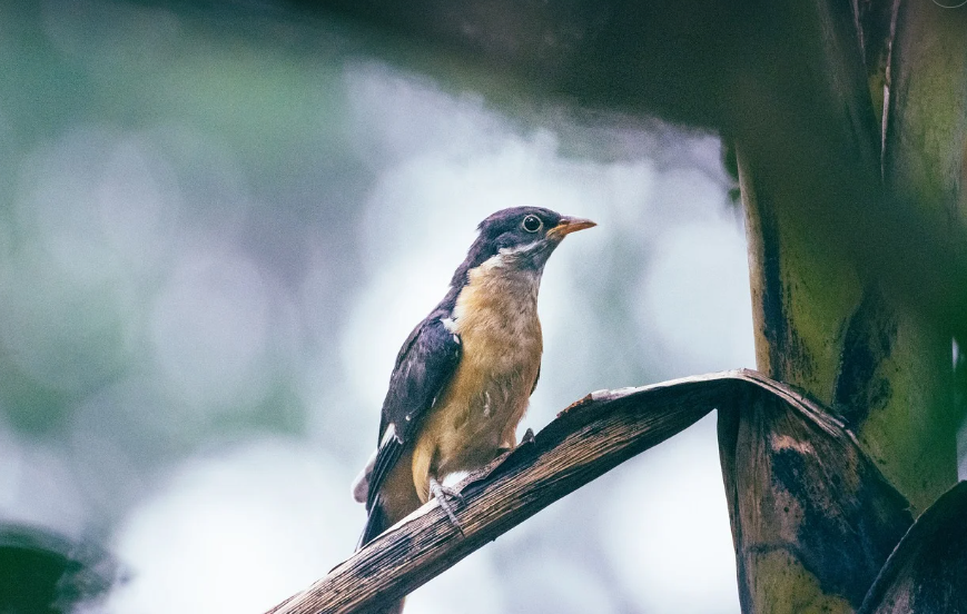 安徽多措并举推进水资源循环利用
