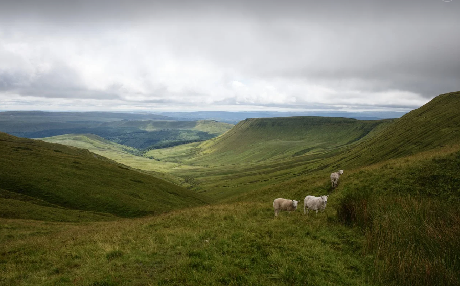 福建：到2030年节能环保产业规模达到3000亿元左右