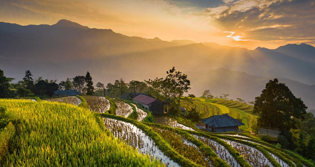 2025年度环境保护科学技术奖（科技创新奖、青年科学家奖）拟授奖人选（团队）公示