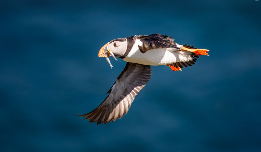 工信部印发2025年重大环保技术装备创新任务揭榜挂帅工作通知