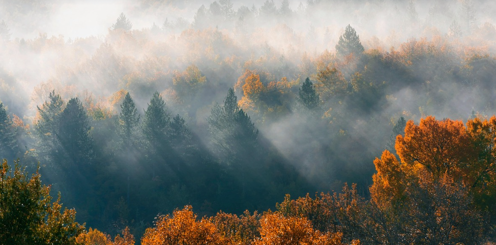 河北：支持全省重点行业环保绩效创A领跑企业若干措施