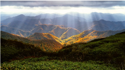 江西省生态环境厅全面实行排污许可制实施方案