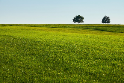 三亚：全市园林环卫项目移交国企，同步推动特许经营模式！