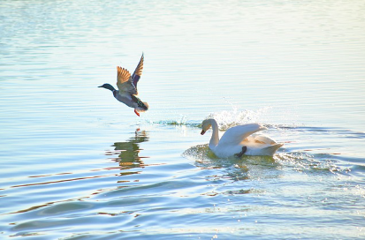 山东：关于进一步推进农村生活污水资源化利用的指导意见