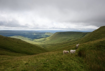 坚决遏制“两高”项目！黄浦区2025年节能减排重点工作安排印发