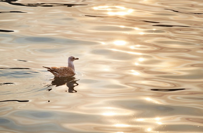 两部门印发《节水装备高质量发展实施方案（2025—2030年）》